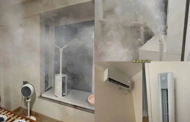 过来人总结的除甲醛办法，新家装修必看！ 第17张