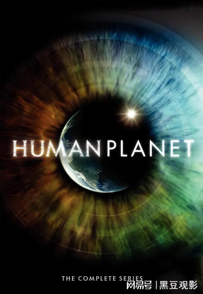 梦境的双龙共舞，探索潜意识的奥秘