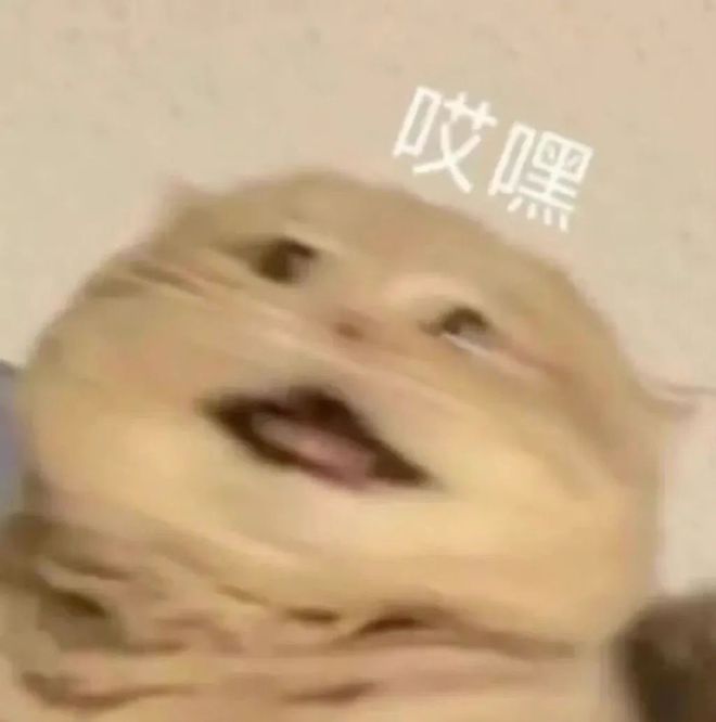 一整季笑麻了，东北喜剧天团主打就是一个真诚