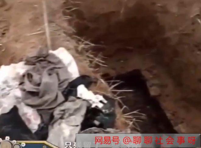 梦境中的哀思与重生，梦见死去母亲办丧事棺材开了，蛆虫带来的启示