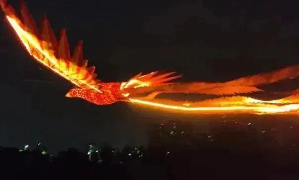 梦境之翼，两只凤凰的飞翔与降落——探索内心深处的自由与变化