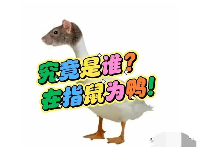 梦境奇遇，黑色老鼠变鸭记的深层寓意与心理解析