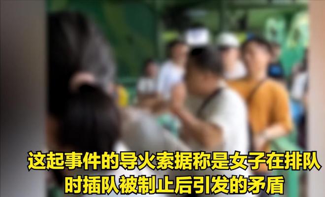 梦境之谜，解析与中年女性争执及其家人登门的梦境寓意