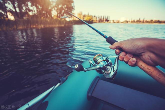 梦境之善行，解析梦到放生鱼的多重寓意与象征意义