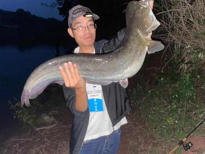 梦境探秘，为何梦见抓鱼却遭禁止？