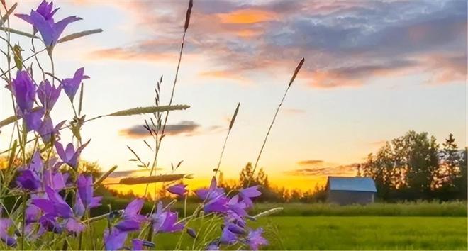 梦见已故亲人说话，梦境背后的深层含义与心灵启示