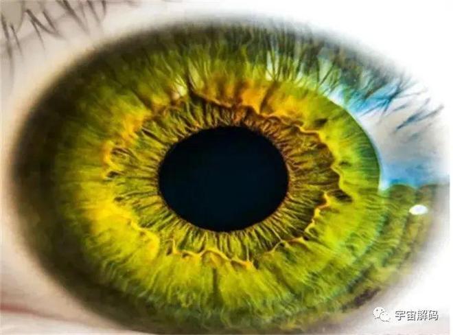 梦境解析，眼睛受伤，寓意与解读