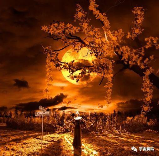 做梦梦见柿子是什么意思，探寻梦境中的甜蜜预兆