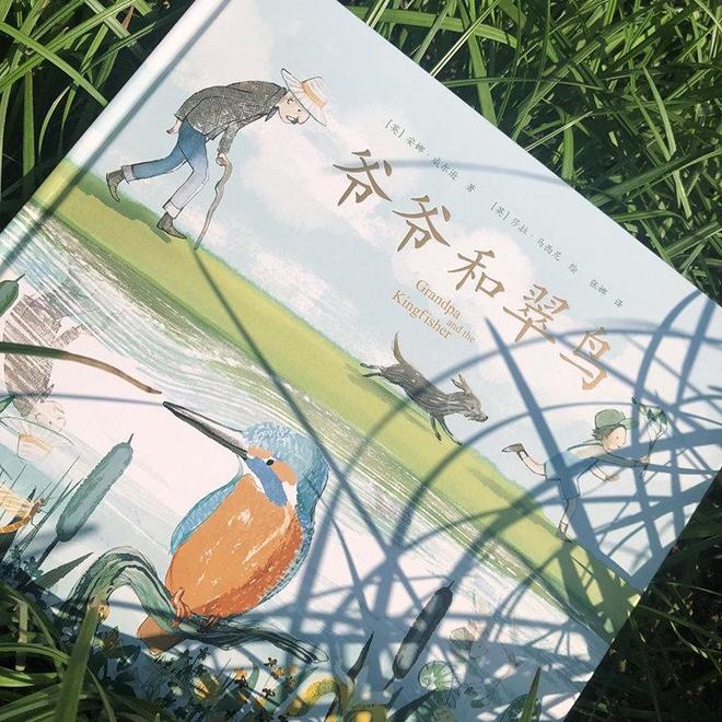 梦境的启示，亲人捉鱼与生命短暂的寓言