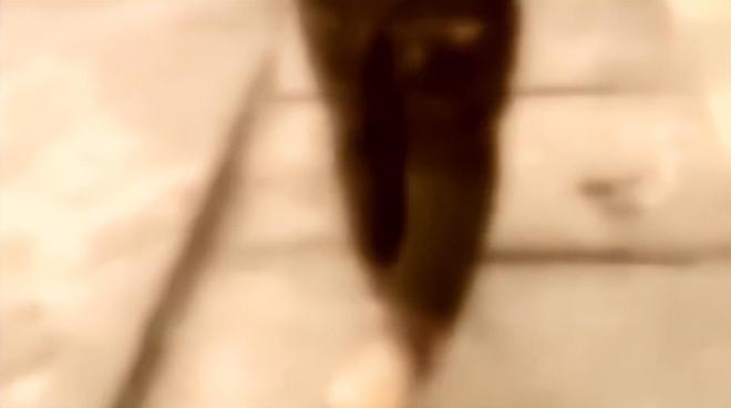 梦见别人拉屎，梦境背后的深层含义与解析