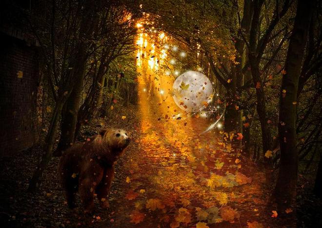 梦境中的陌生人，探索梦境与情感深处的奥秘