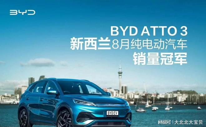 新能源汽车品牌排行榜：谁将成为未来的领导者？