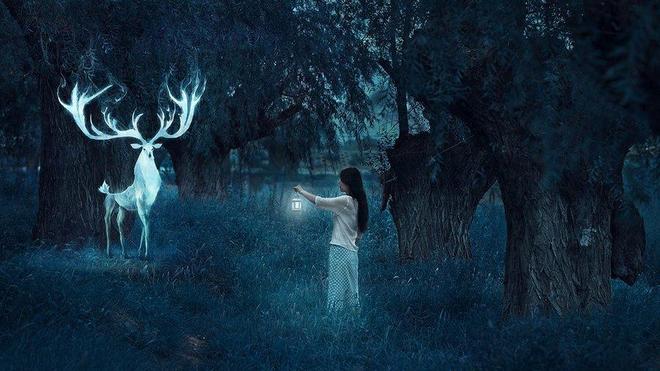 梦境中的奇异交织，为何梦见与讨厌之人共洗衣物？