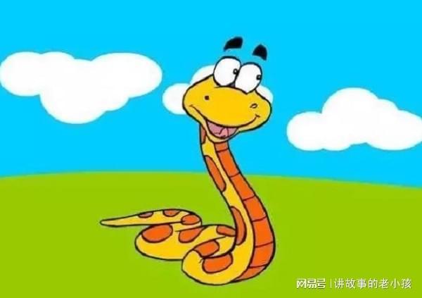 梦之寓言，老婆梦到蛇与好虫——解密生活中的隐喻与和谐共存