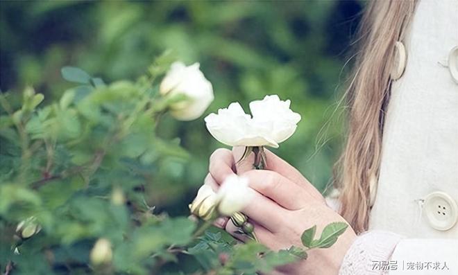 圆梦梦见亲人死后复话又被拍死，预兆与心灵深处的启示