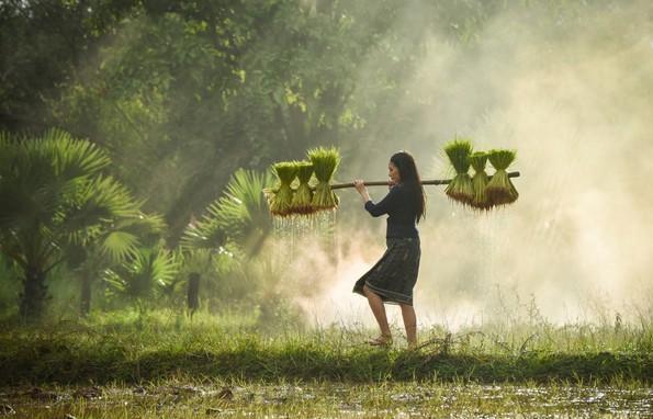 梦境的迷雾，奶奶去世与未见的棺材之路