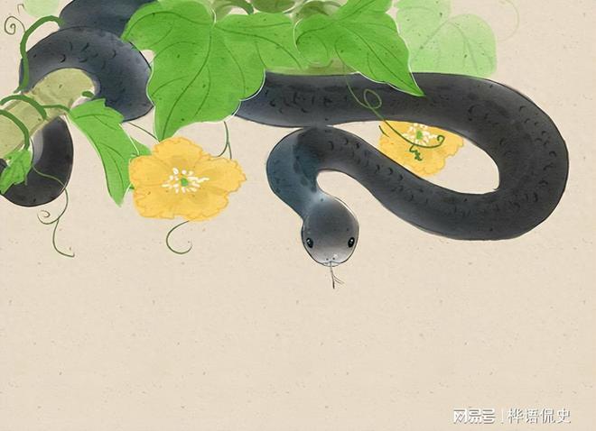 梦的解析，为何我梦见蛇会感到如此害怕？