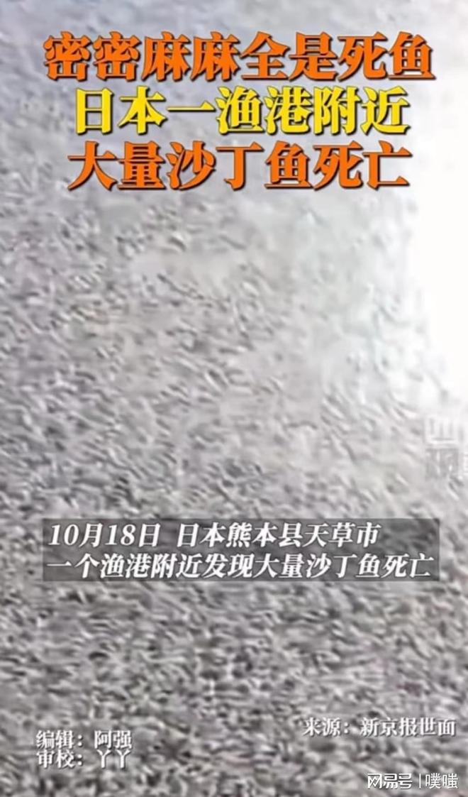 梦见一条很大的死鱼，潜意识的警示与内心状态的映射