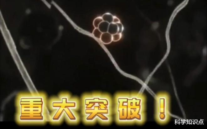 梦见自己拉屎是什么意思，探索梦境背后的深层含义