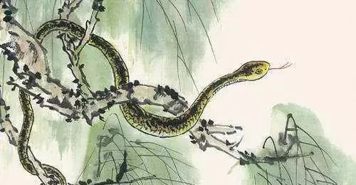 男人梦见一堆蛇，梦境背后的深层含义与解析