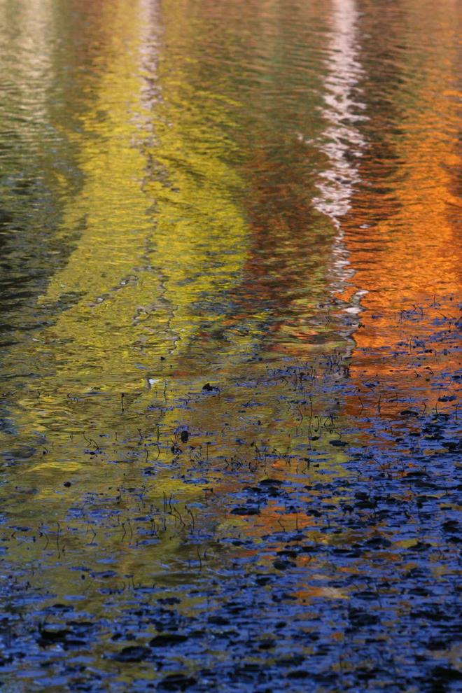 孕妇梦境解析，雨落心湖，寓意深远