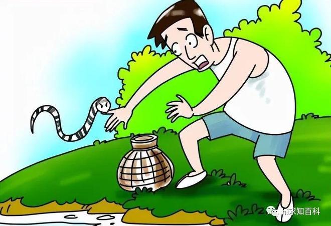 男人梦到蛇，潜意识的警示与启示