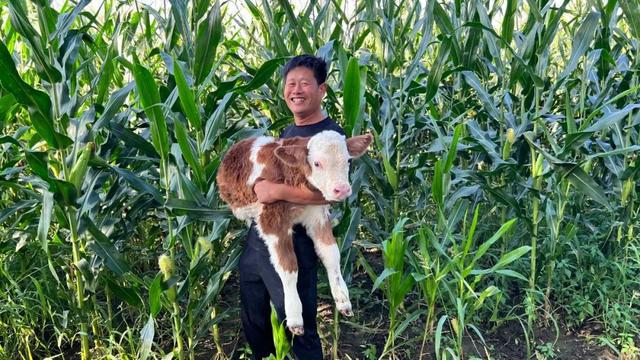 讓300萬網友癡迷的“龍獸醫(yī)”：被央視點贊，曾被兒子羞于提起，如今以他為榮，他憑什么這么火