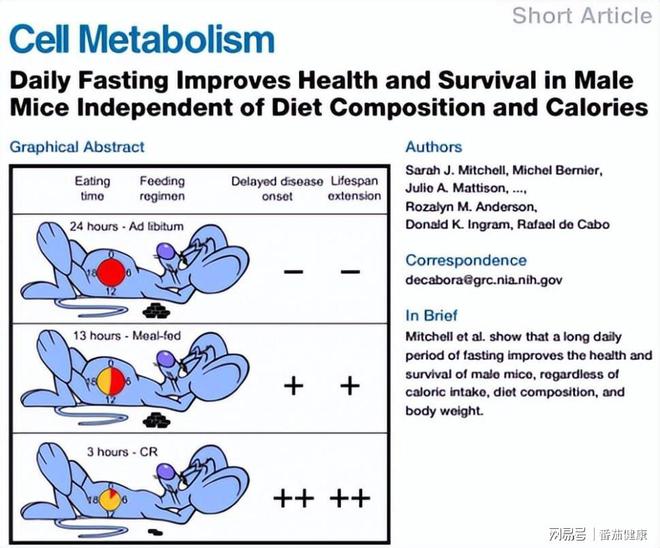 少吃两顿多活20年？美科学家：肚子挨饿时，细胞悄悄“吃掉自己”