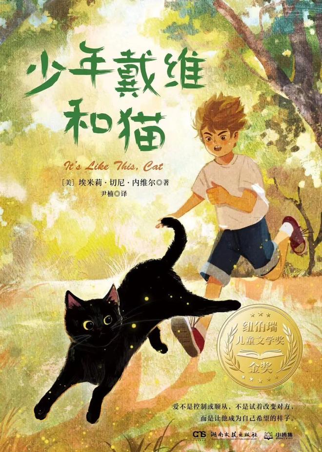 梦见小男孩儿和小女孩，梦境中的纯真与成长寓言