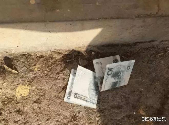 梦回粪土间，寻觅财富之谜，解析梦见粪土里捡钱的深层含义