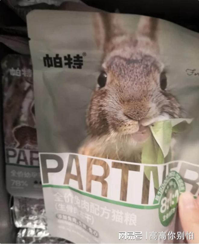 肌肉贴十大品牌排行榜：探索运动新纪元！