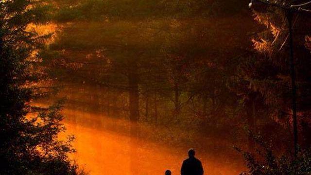 梦境中的重生与消逝，梦见父亲被水淹没的深层解读