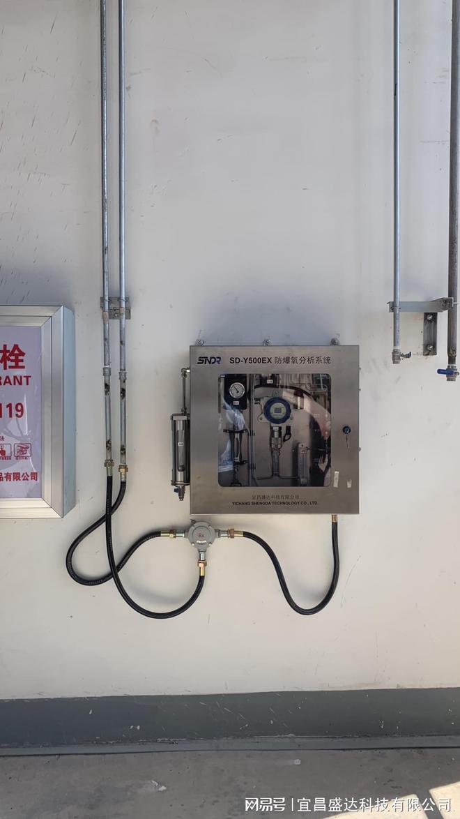 加氢反应釜中使用氧开云体育 开云平台含量分析仪的作用