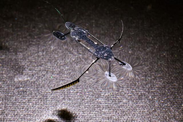 金色梦境的启示，梦见大虫子从洞中爬出的深层解析