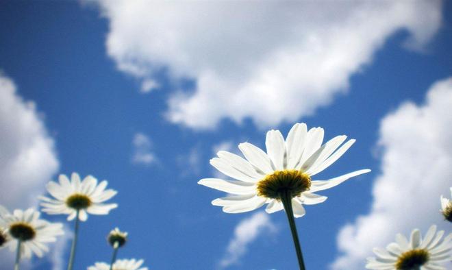 梦境再续前缘，祈愿家人安康，解读梦中与老公重结连理的象征意义