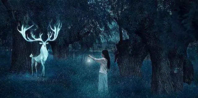 老是梦见一个人死了预示着什么，梦境背后的深层含义与解析