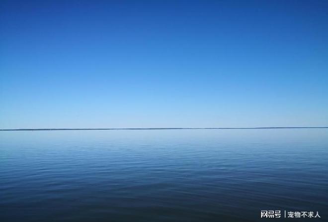 为何经常梦到同一个人，梦境深处的秘密与解析