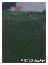 梦境奇遇，探索从未谋面却成女友的深层含义