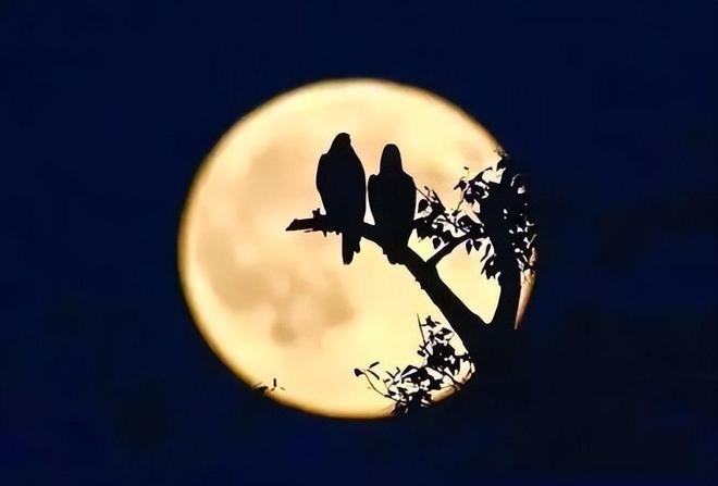 梦回往昔，泪洒思念，梦见去世的奶奶哭泣的深层含义与心灵慰藉