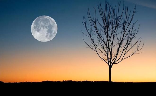 梦回彼岸，梦到死去的亲人，心灵的慰藉与未竟的牵绊