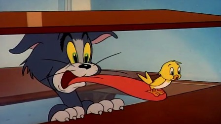 梦回童真，外婆家奇遇记——从同学到弟弟，与神秘猫咪的温馨邂逅