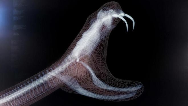 梦见蛇进眼睛，潜意识的警示与内心探索的启示