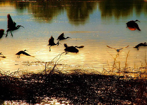 梦境交织，梦见逝去亲人复活再逝的深层含义与心灵启示