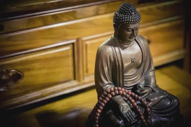 梦到自己养一条大蛇，潜意识深处的预兆与启示