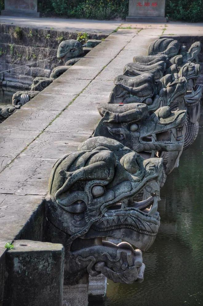 图片[15]-四川最让人上头的小城——泸州-龙罡博客