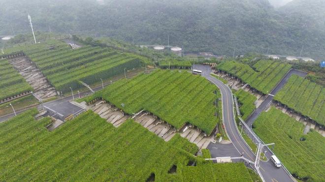 图片[10]-四川最让人上头的小城——泸州-龙罡博客