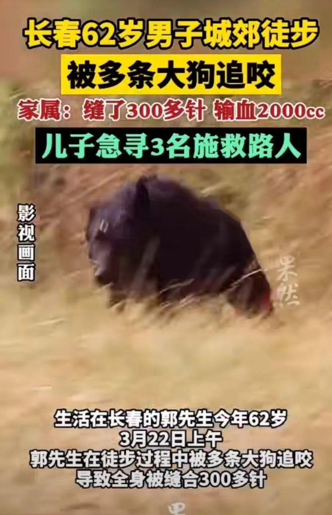 梦回彼岸，与逝者重逢的警示——解析梦见已死之人，狗还差点咬了他的深层含义