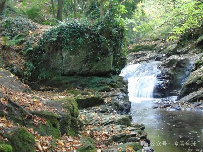 [杭州景点排行：不可错过的美景之旅]