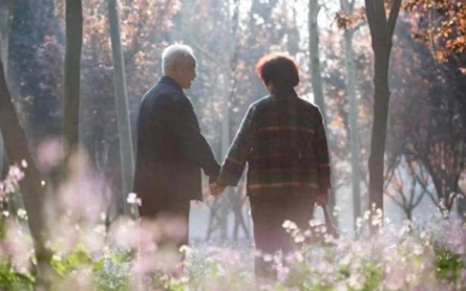 梦回彼岸，重逢已逝母亲的哀伤与释怀