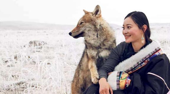 周公解梦大全，梦见叫花子被狼吃，寓意何在？